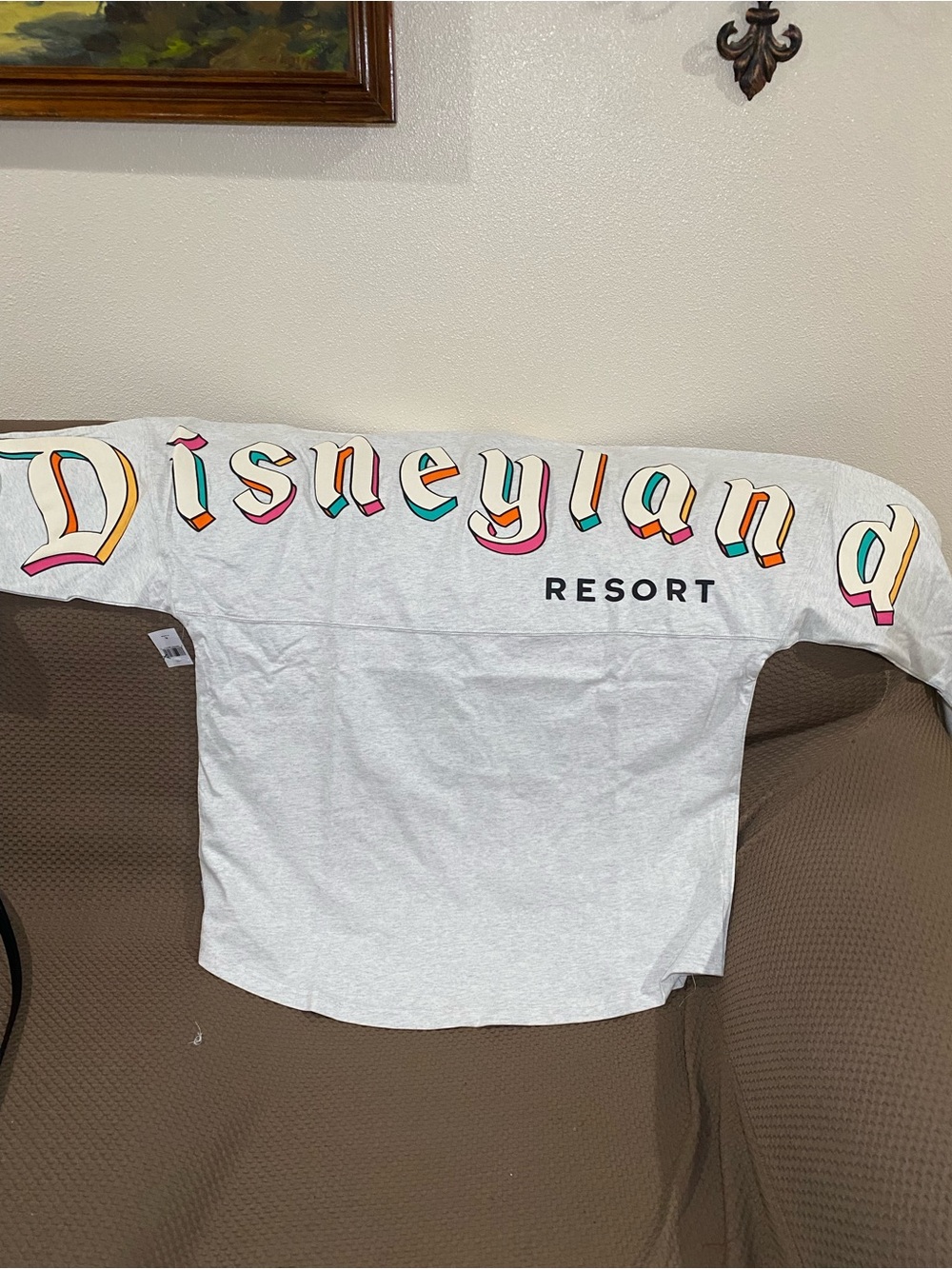 Disneyland Resort Spirit Jersey Grey Disney Parks Size XL NEW 1955 Colorblock